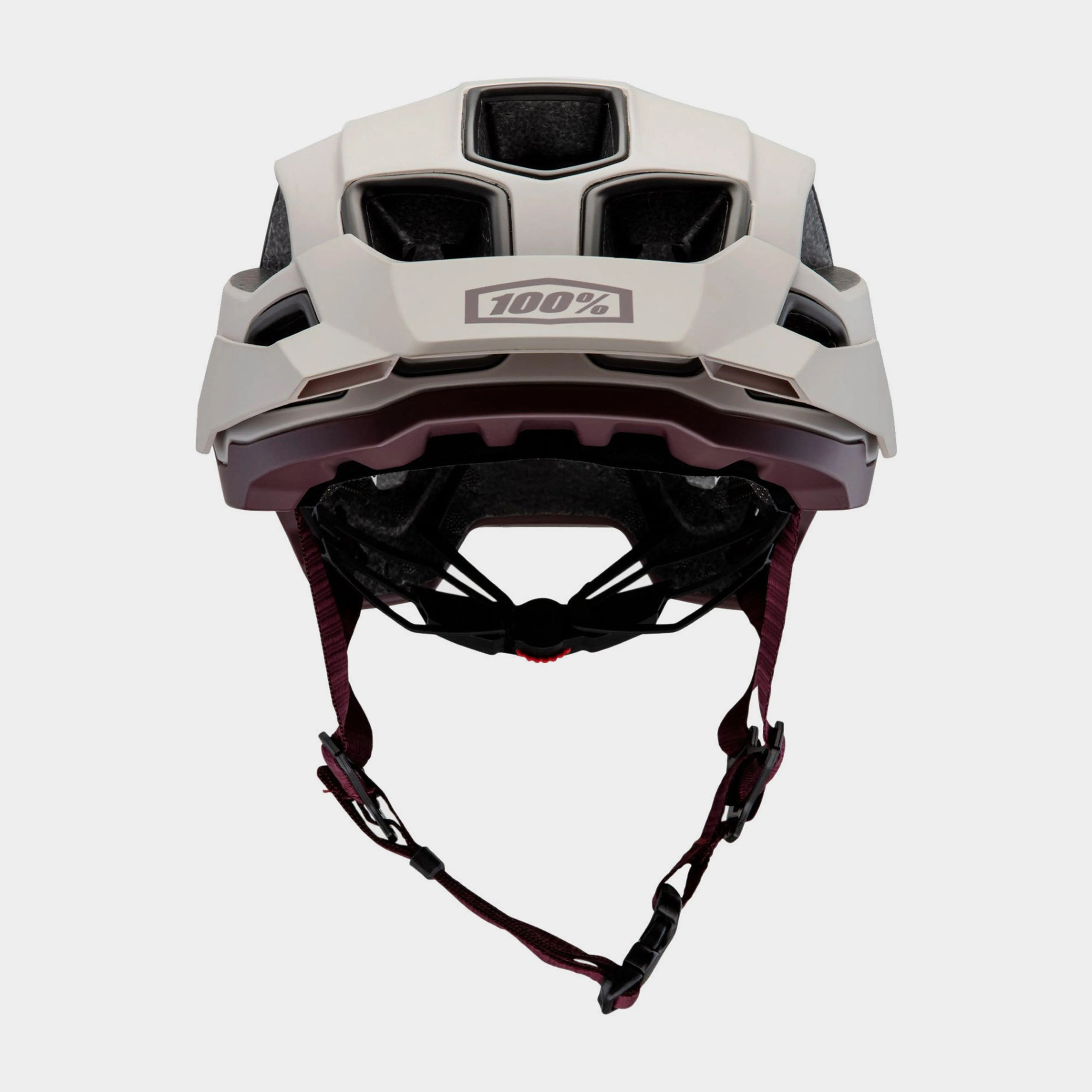 100% Altec Helmet | Millets