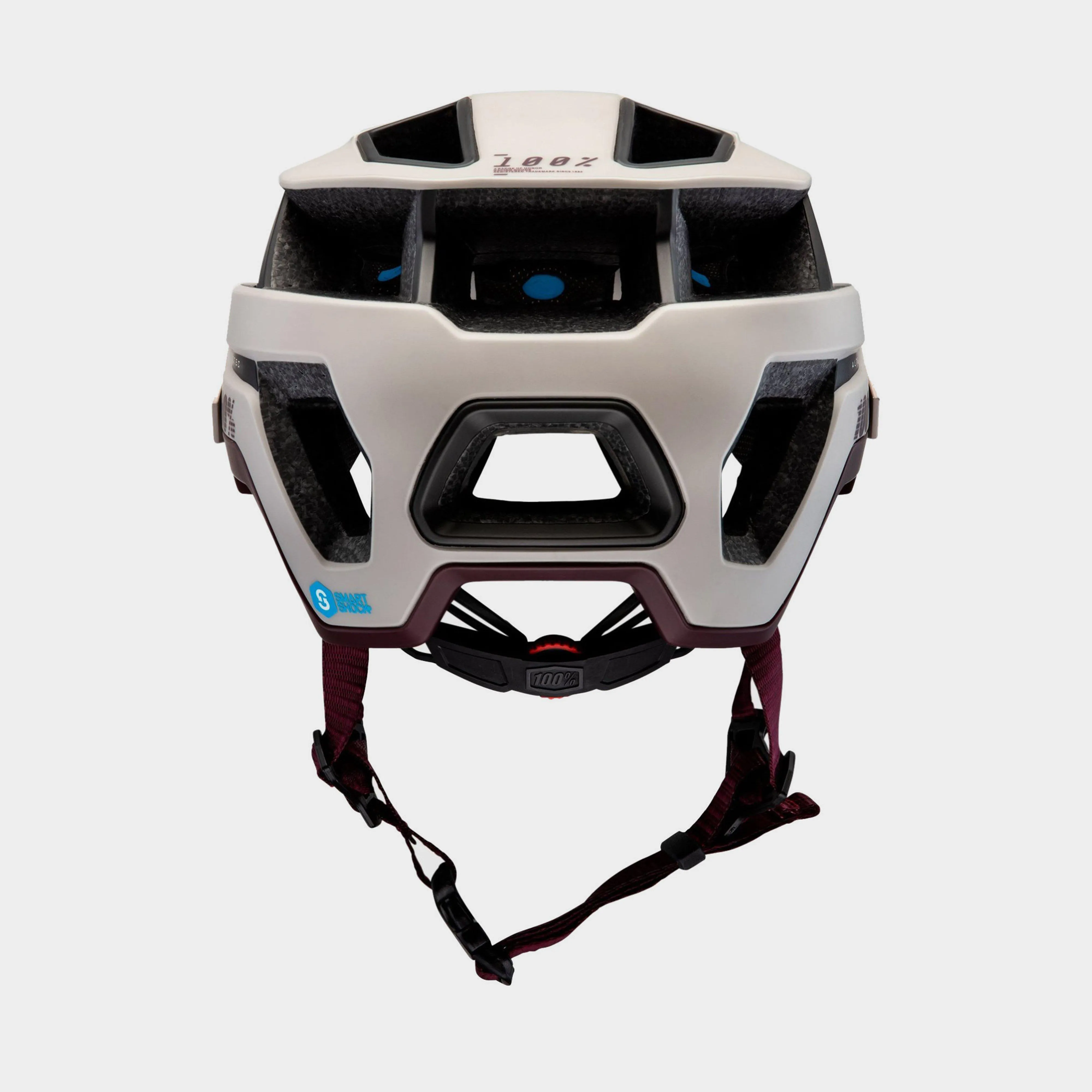 100% Altec Helmet | Millets