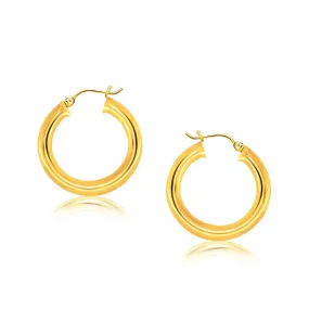14k Yellow Gold Polished Hoop Earrings (30 mm)-rx64380