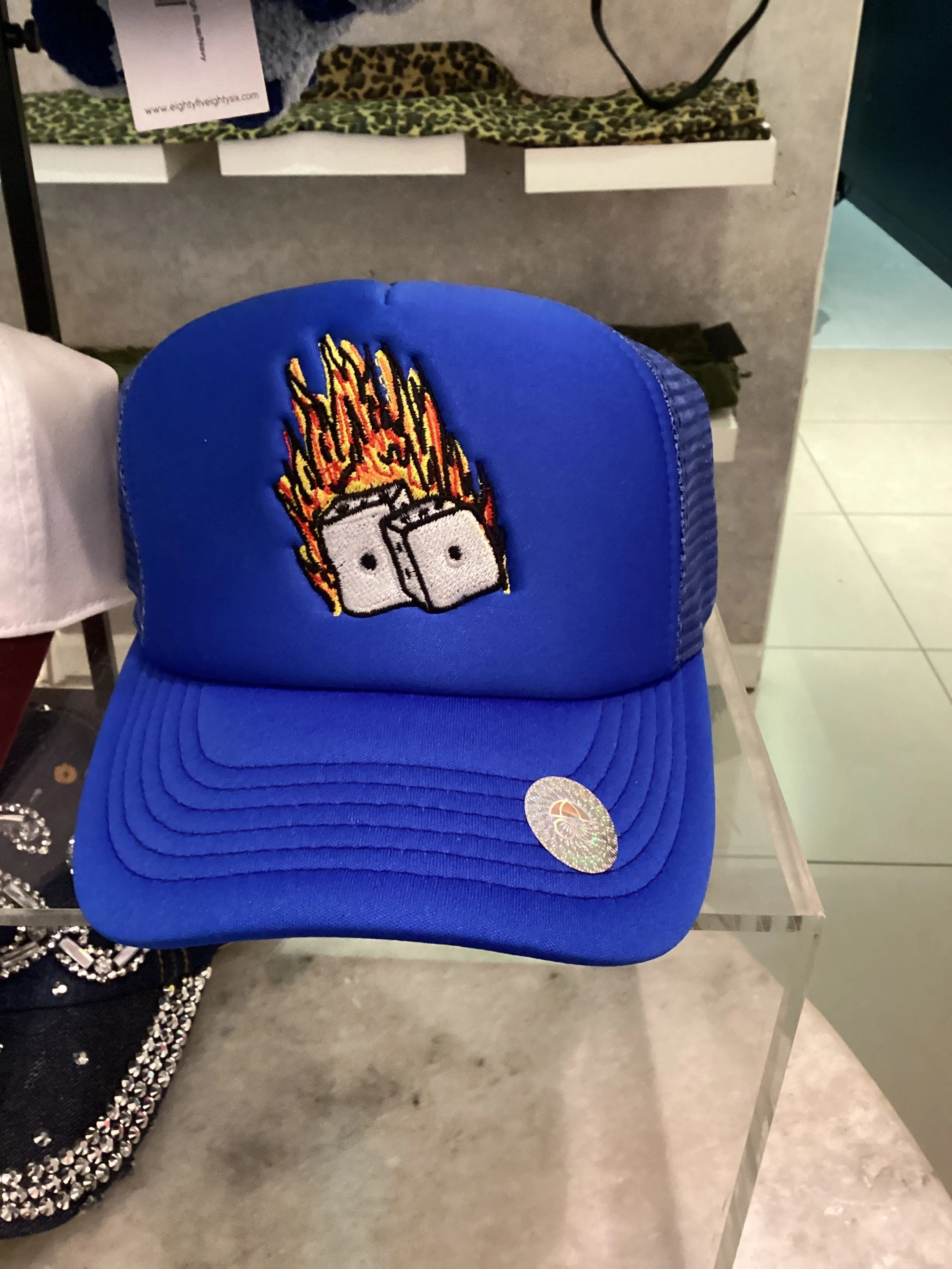 AFTER SCHOOL SPECIAL: Dice trucker hat