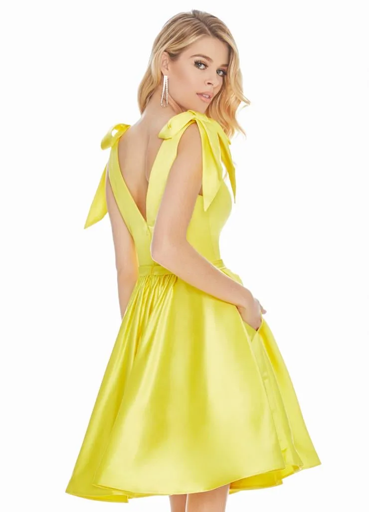 Ashley Lauren Dress