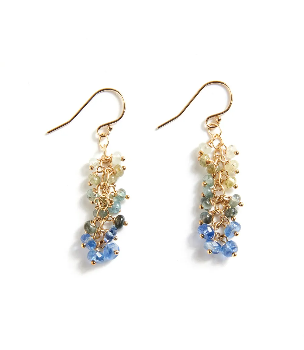 Beaded Cluster Earrings