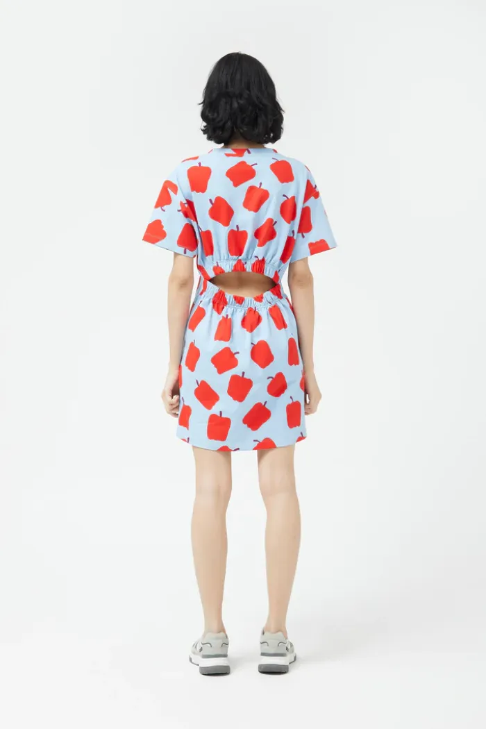 Big Pepper Dress