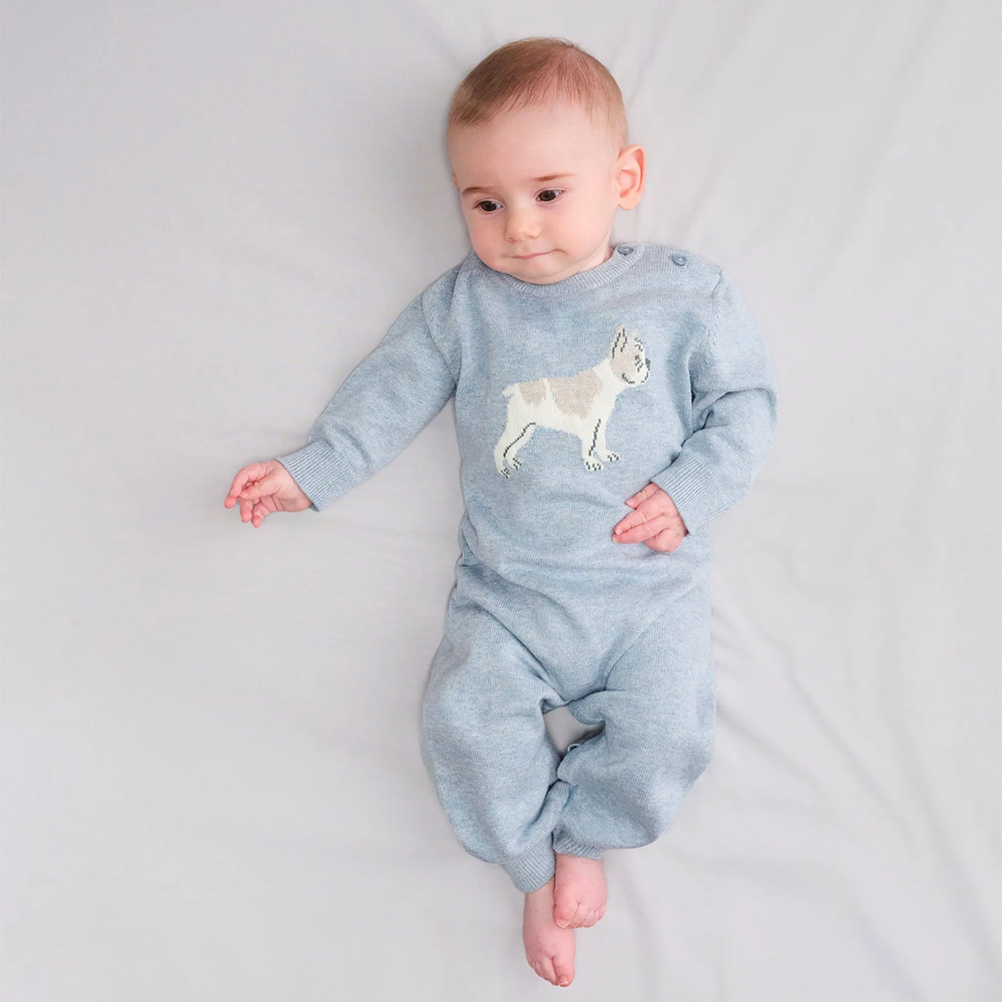 Hatley Little Bulldog Romper 3-24m  - Clement