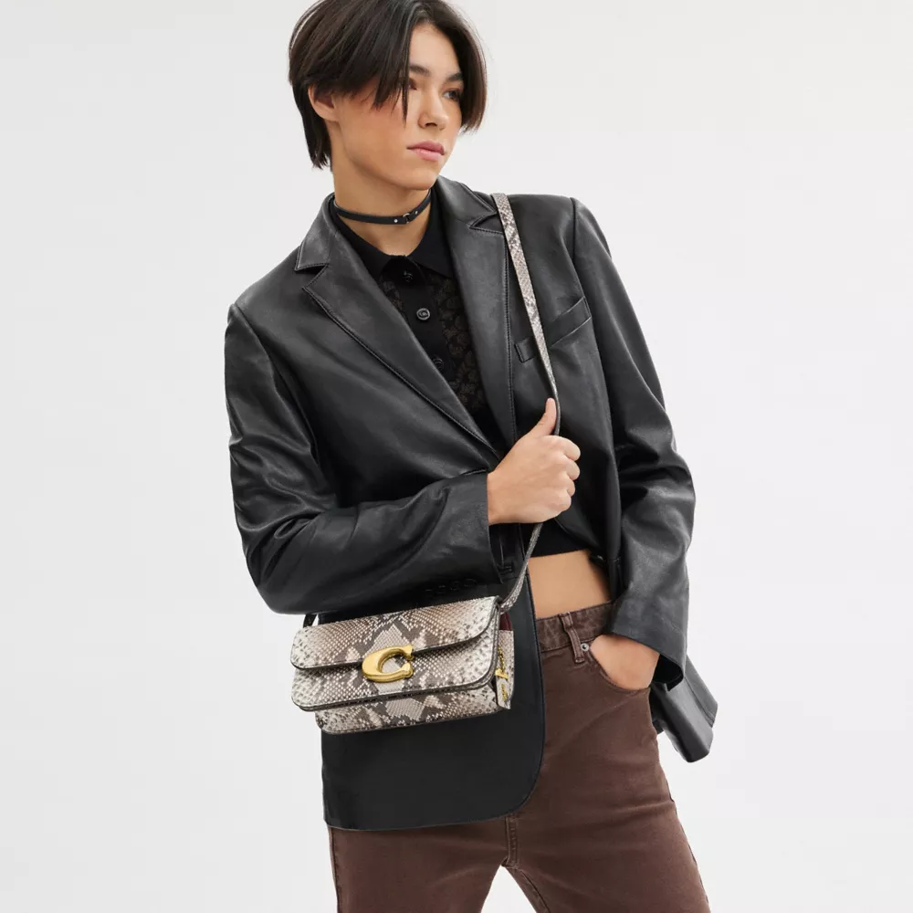 IDOL BAG 23 IN PYTHON