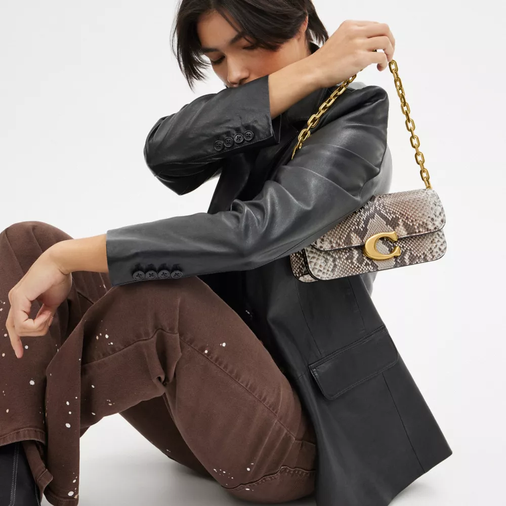 IDOL BAG 23 IN PYTHON