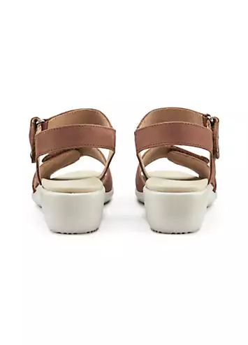 Iyla Rich Tan Women’s Sandals by Hotter | Look Again