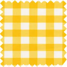 Made-to-Order Mandarin Tunic in Yellow Medium Gingham Poplin