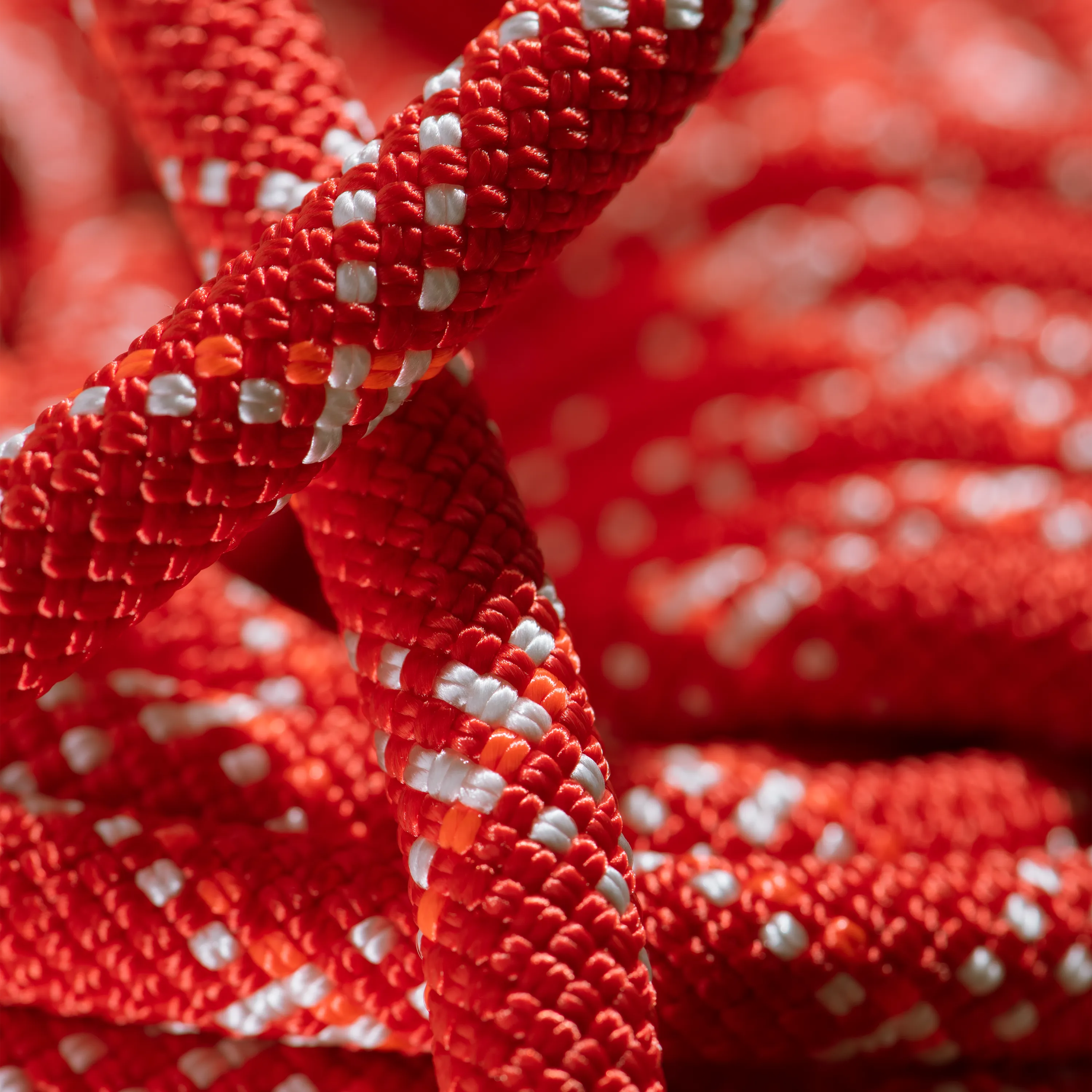 Mammut 9.5 Gym Classic Rope Classic Standard Raspberry-White | Buy Mammut 9.5 Gym Classic Rope Classic Standard Raspberry-White 