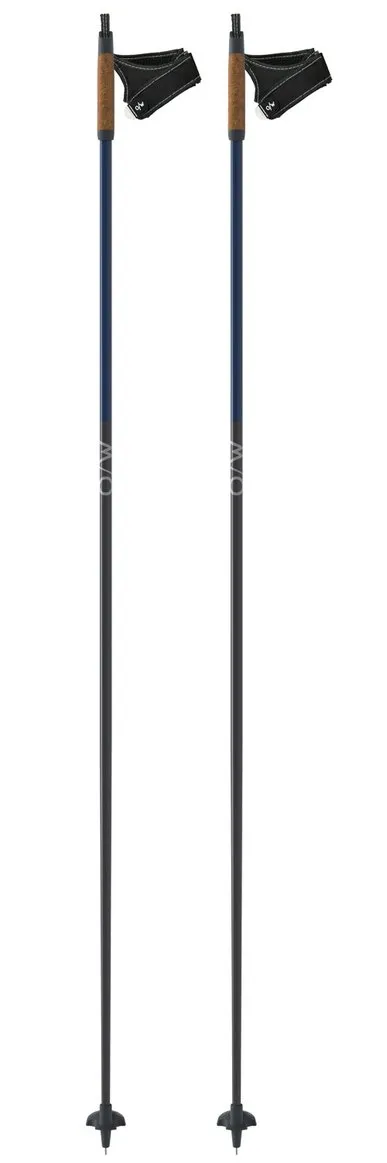 Nordic Ski Pole One Way ---Diamond 2