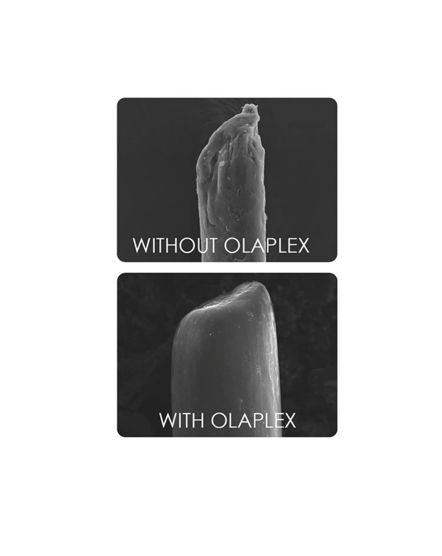 Olaplex No.5 Bond Conditioner 250ml | Simply Be