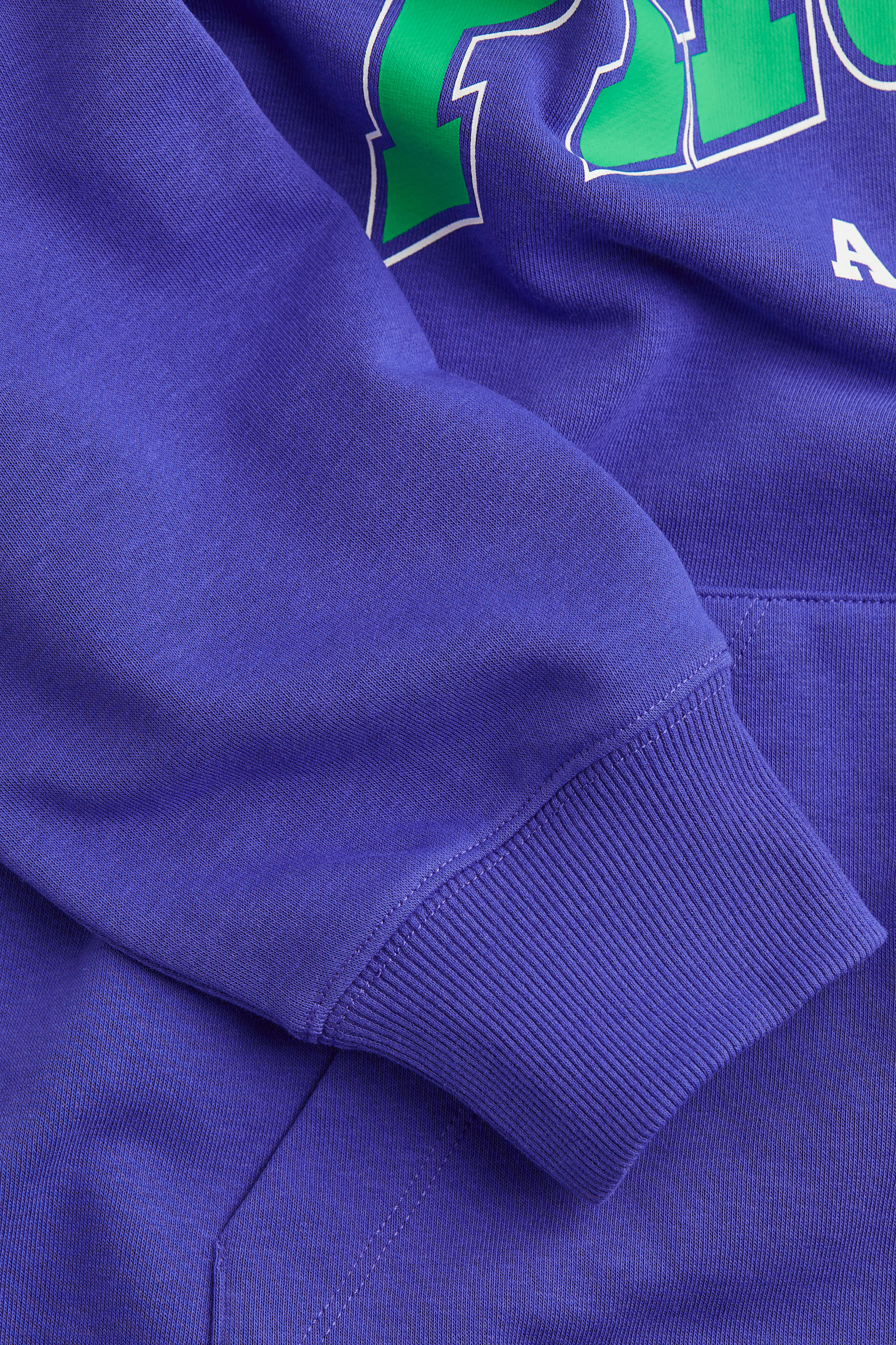 Oversized printed zip-through hoodie - Long sleeve - Regular length - Bright blue/Phoenix - Ladies | H&M GB