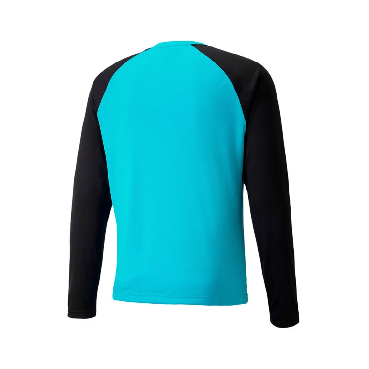 Puma teamPACER Goalkeeper l/s Jersey