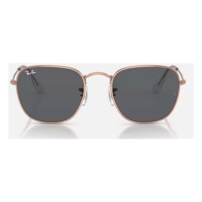 Ray-Ban Frank Sunglasses