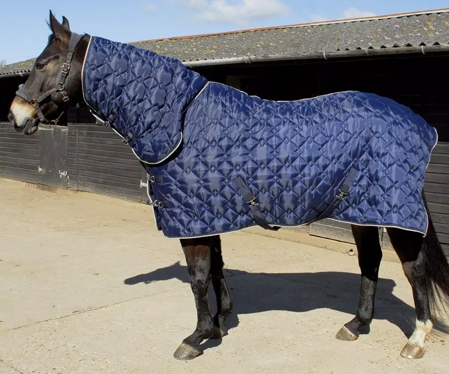 Rhinegold Texas Diamond Combo Stable Quilt