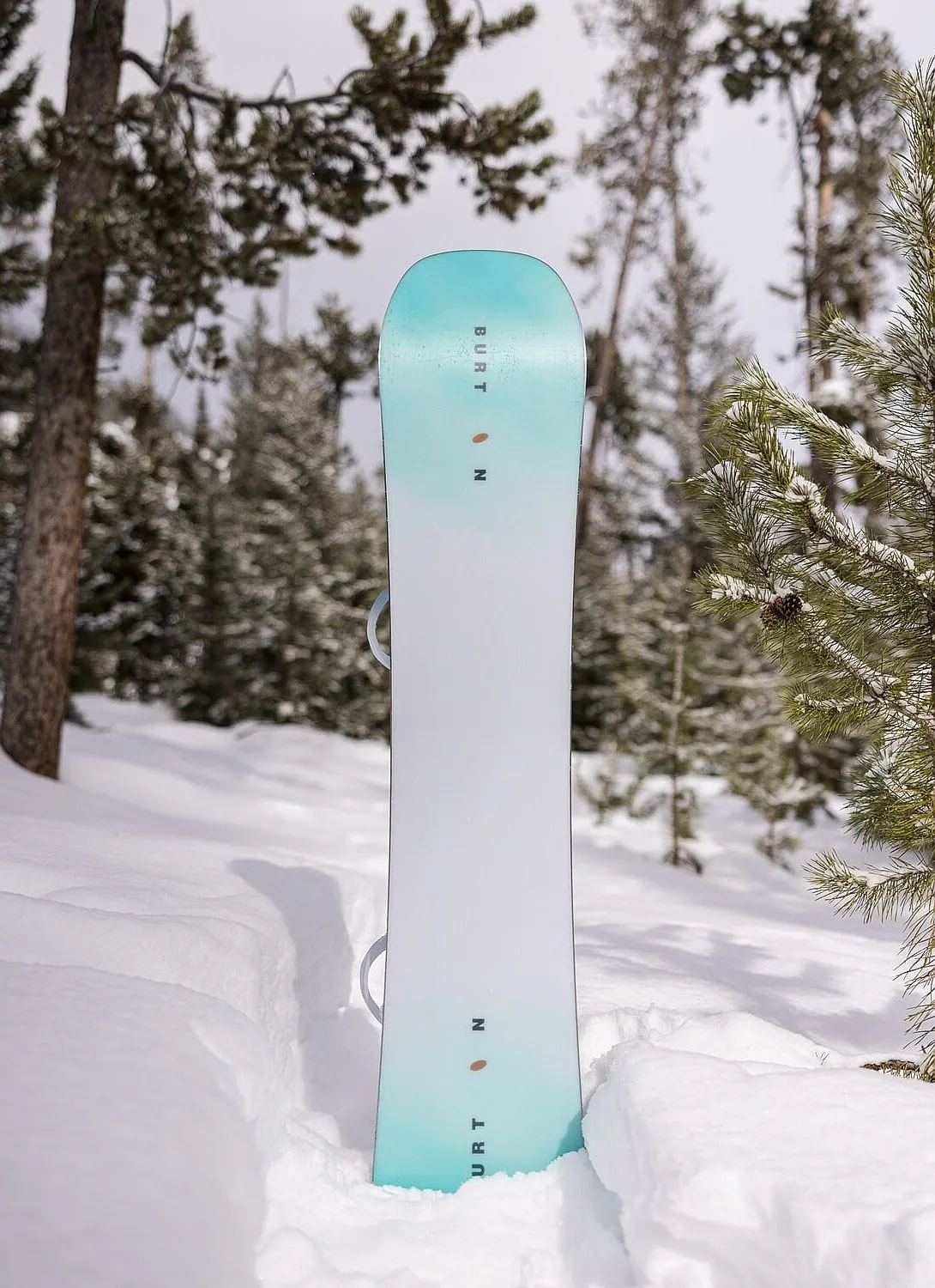 snowboard Burton Story Board - No Color - women´s