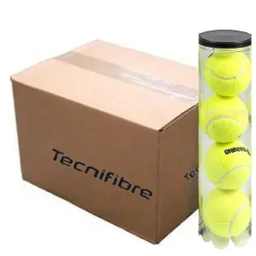 Tecnifibre Training  Tennis Balls (36 Cans)