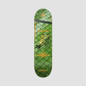 The National Skateboard Co Josh Young By Marius Chanut Skateboard Deck - 8.125"