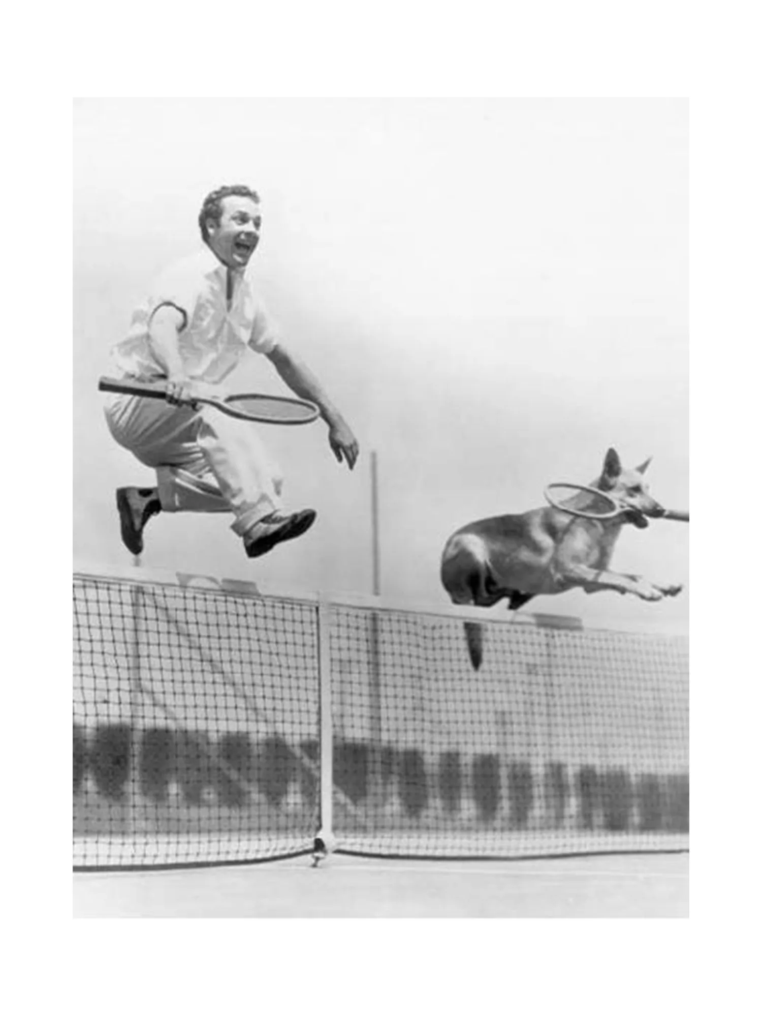 The Ultimate Tennis Book