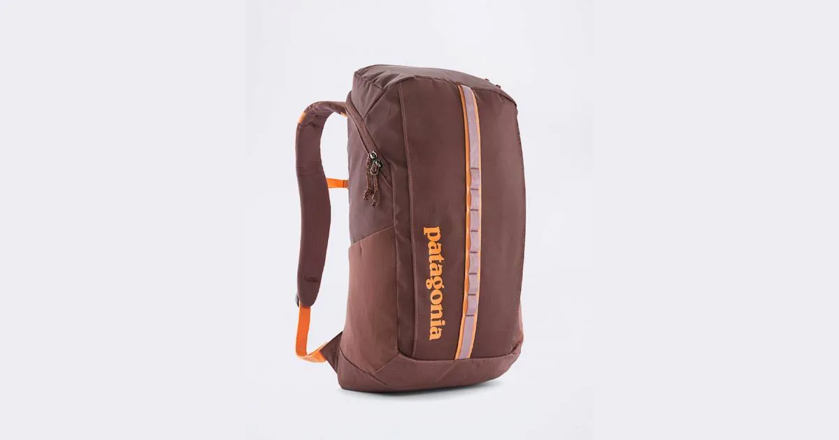 Urban Backpack Patagonia Black Hole Pack 25L