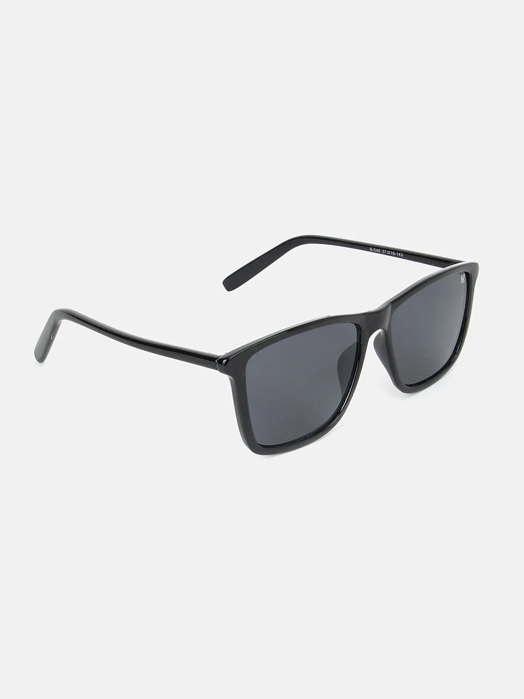 Wayfarer  Sunglasses