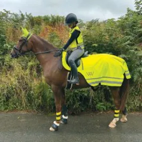 Woof Wear Hi Vis Exercise Sheet - Yellow